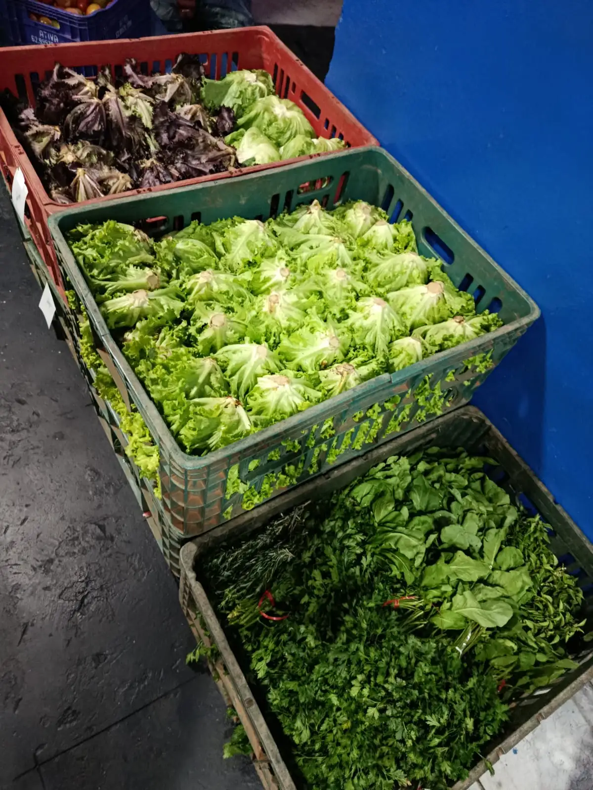 Distribuidora de Verduras em Goiânia