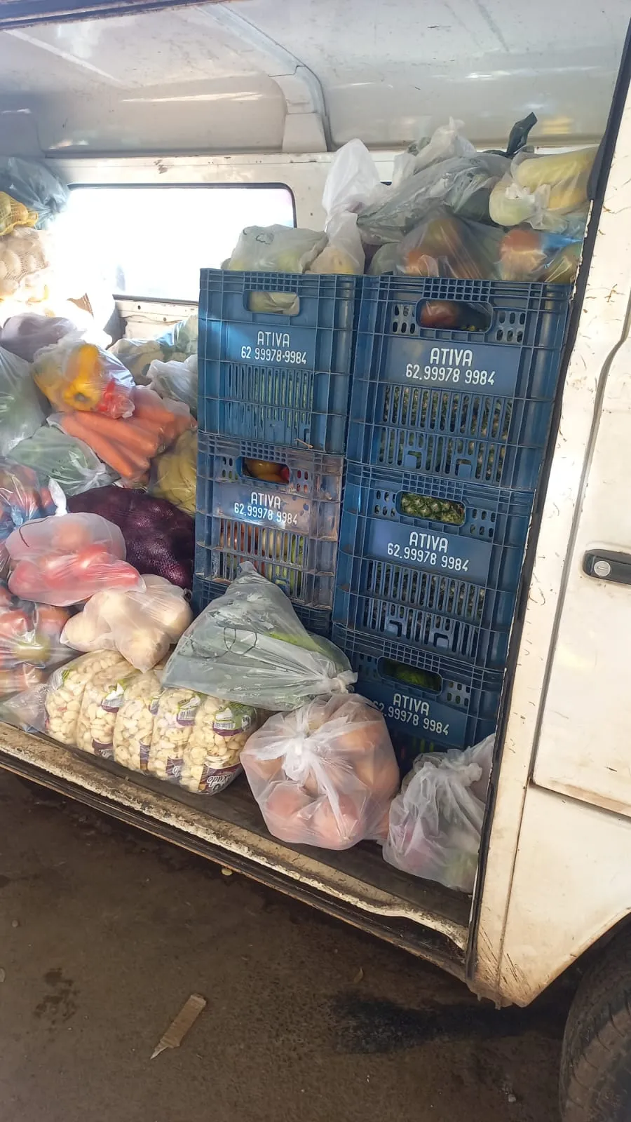 Verduras frescas selecionadas no CEASA de Goiânia pela ATIVA Distribuidora