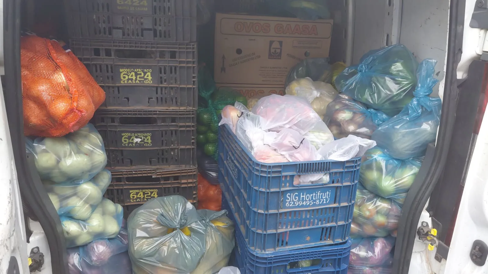 Fornecedor de Frutas
